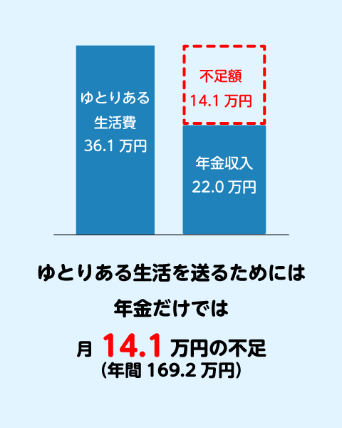 収入 22.0万円 支出 36.1万円 不足 14.1万円 （年額169.2万円）