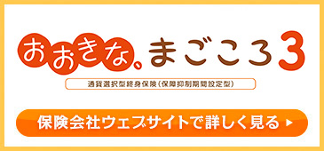 おおきな、まごころ3